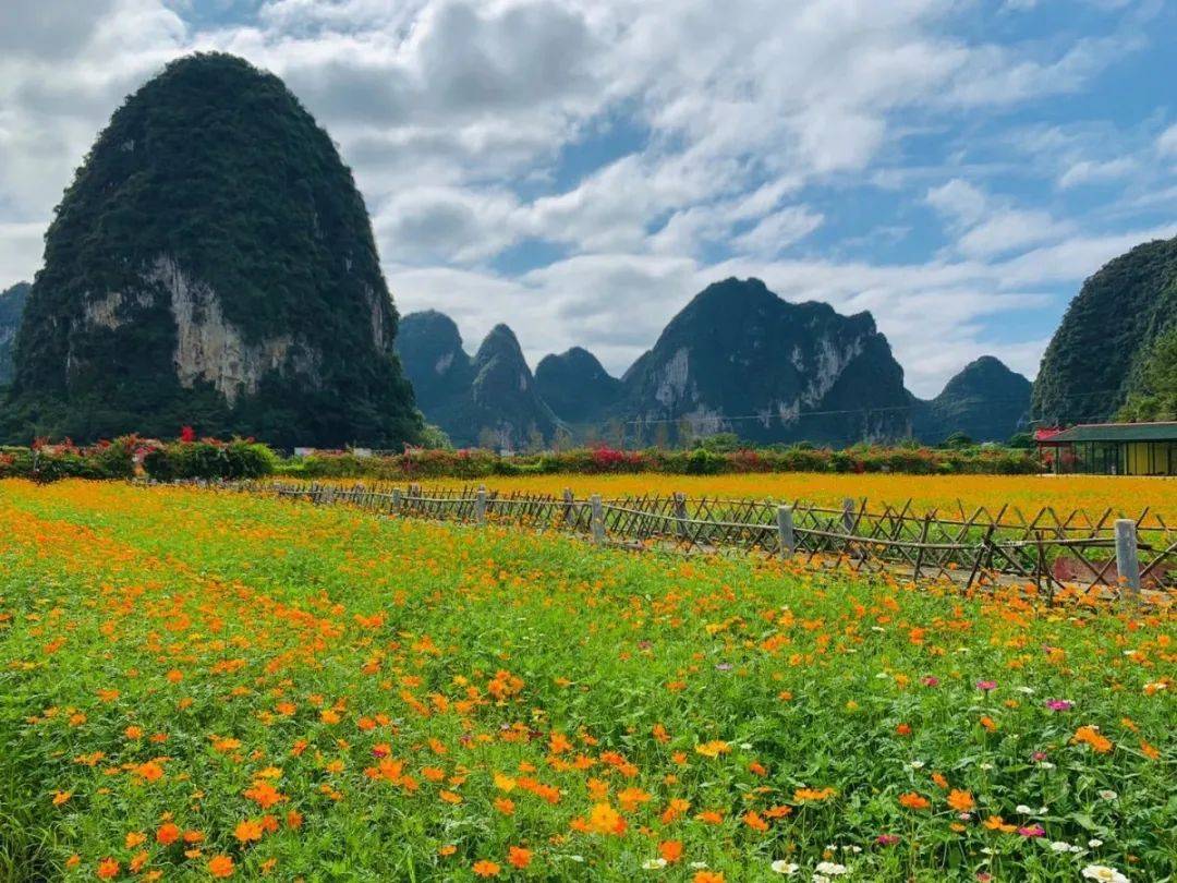 百色靖西市2020gdp_广西这个县级市,被誉为 小昆明 小桂林 ,却是国家级贫困县(2)