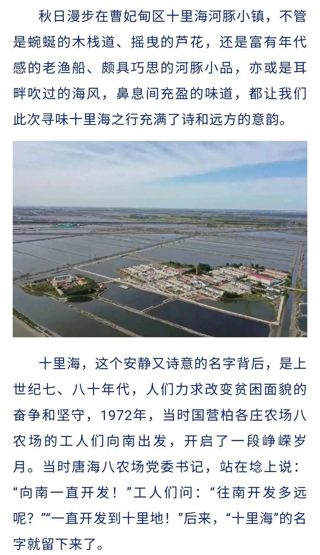 曹妃甸河豚小镇欢迎您!