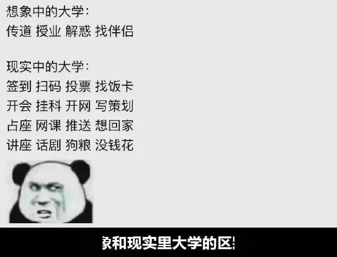 43e36a7f038a44b9b08338dd73d476bd.jpeg