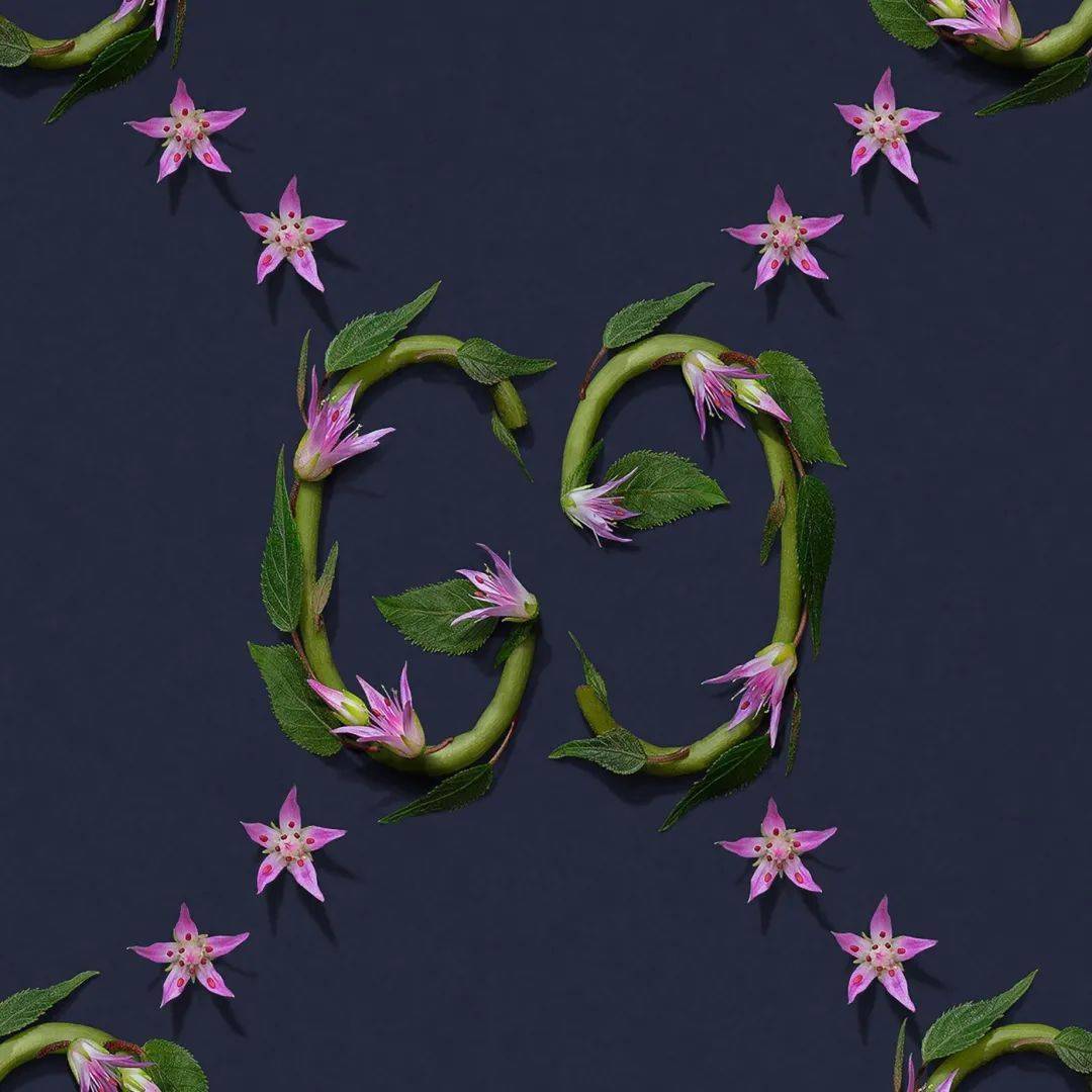 井上罗|花卉版的时尚品牌！