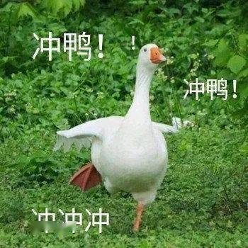 500分2020年广州调研排名_艰辛!2020广州复工调查:过半家具企业预计今年将亏