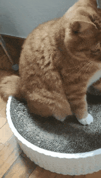 夏天|十月小结 | 这里有一份秋日温柔待查收!