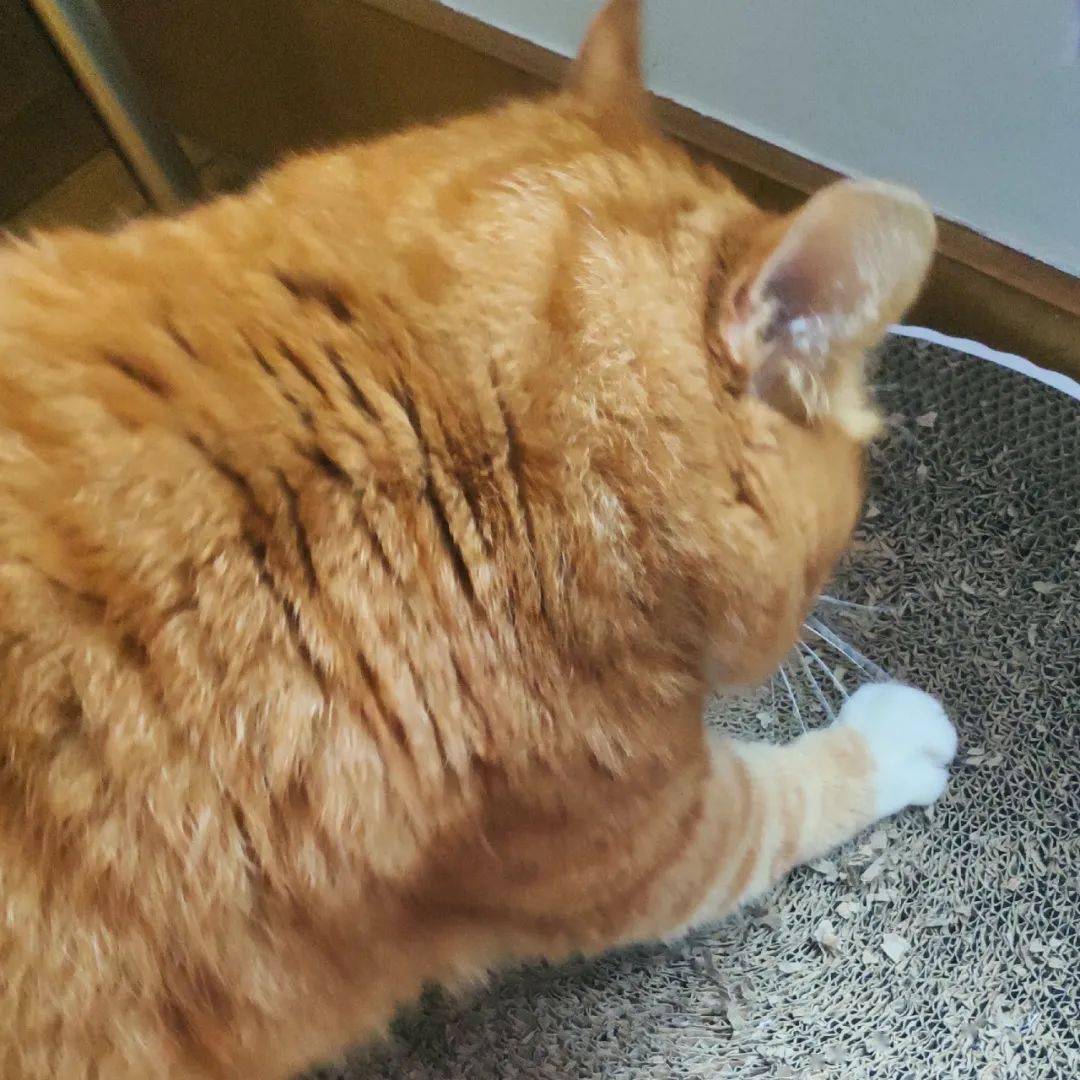 夏天|十月小结 | 这里有一份秋日温柔待查收!