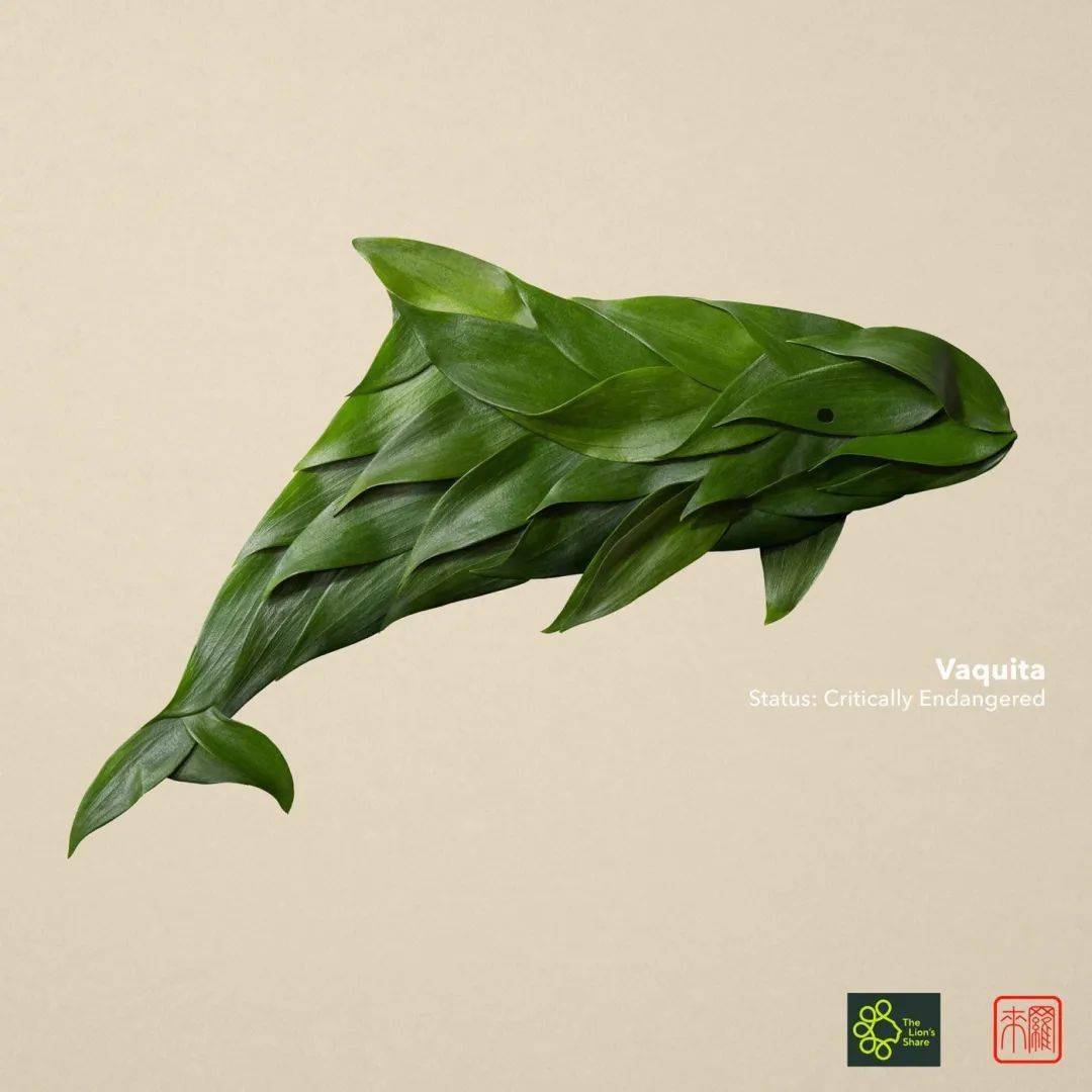 井上罗|花卉版的时尚品牌！