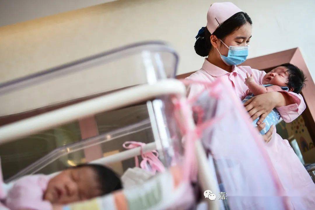 嘉视觉·视觉1+1(最新发布)