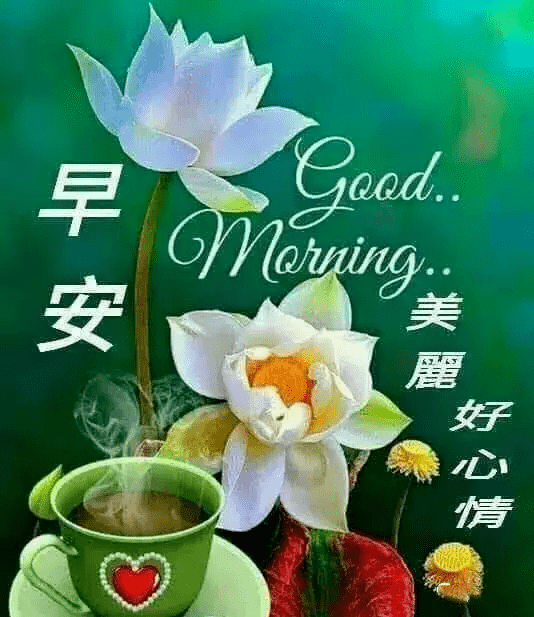 中老年表情包:清晨起,送你一缕快乐的晨光,早安如意!