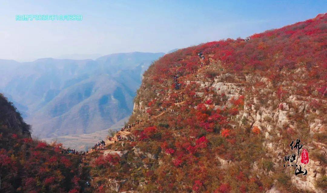 红叶节一起打卡佛照山!_沙河