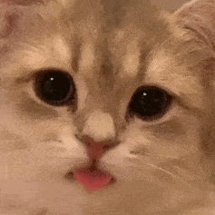 欧气|幸运来了千万不要嘚瑟，不然洗出七绝不修也不会让人快乐…