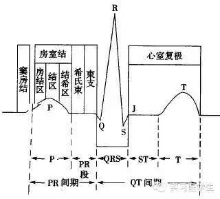 心电图:"零基础"到有序阅读