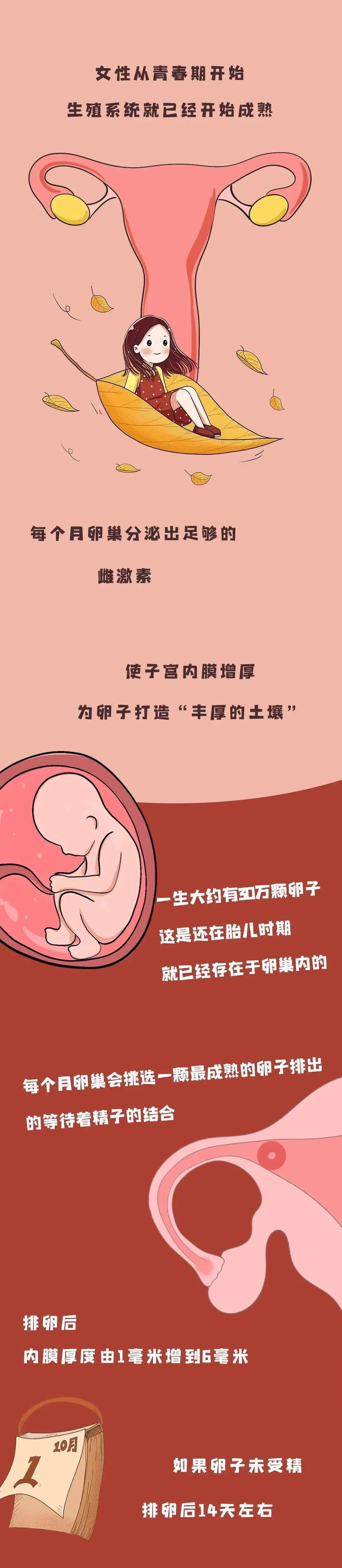 女性生殖系统是如何一步步逐渐衰老的?搜狐大视野搜狐新闻