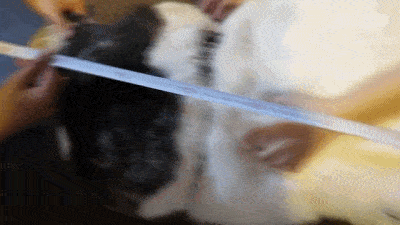 体重,更是达到了240斤.