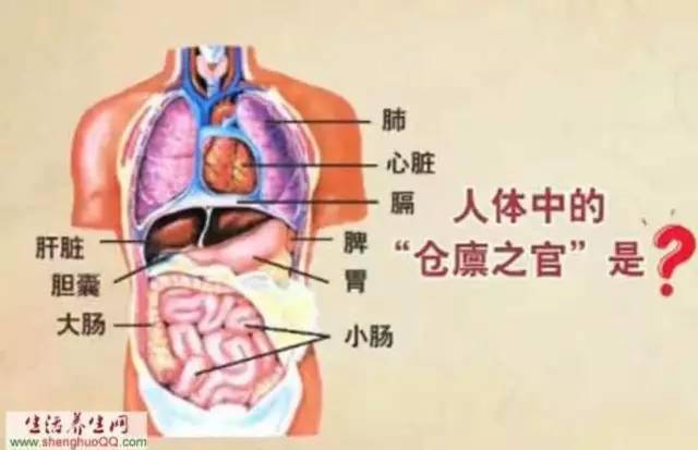 伟先堂与大家释疑何为脾胃脾胃乃生命之根本健脾胃就是养元气养生命