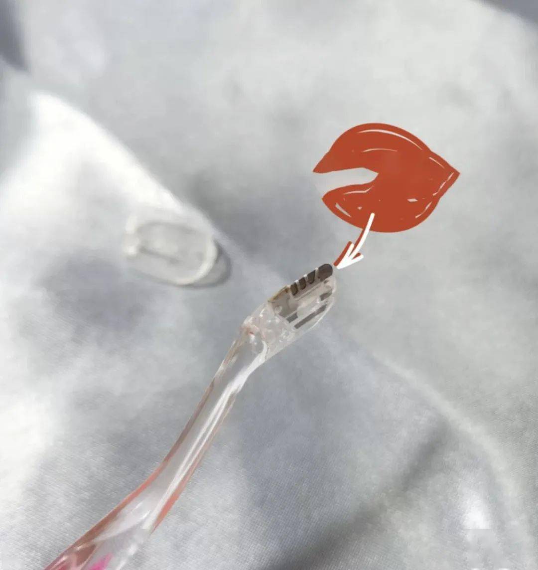 东西|美妆博主都在偷着用的东西，最便宜的只要5块！