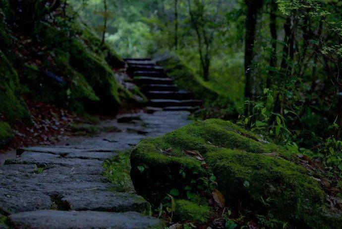 坐看苍苔色,欲上人衣来