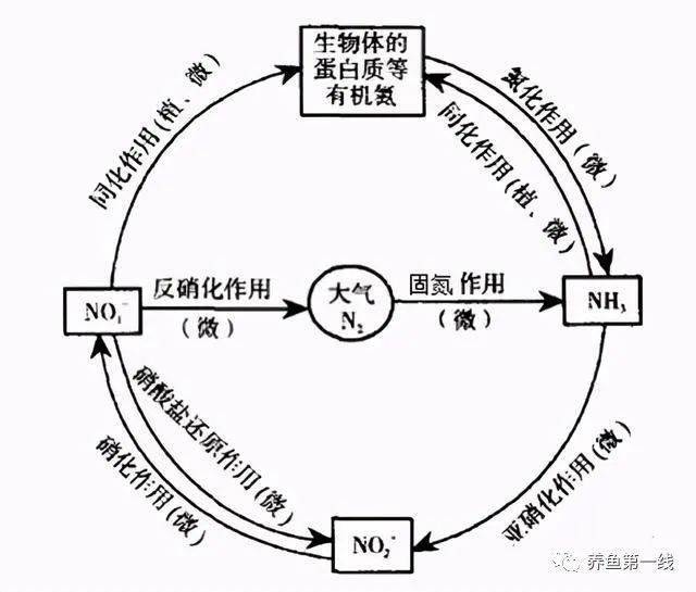 gdp低和d二聚体高临床意义_二聚体(3)