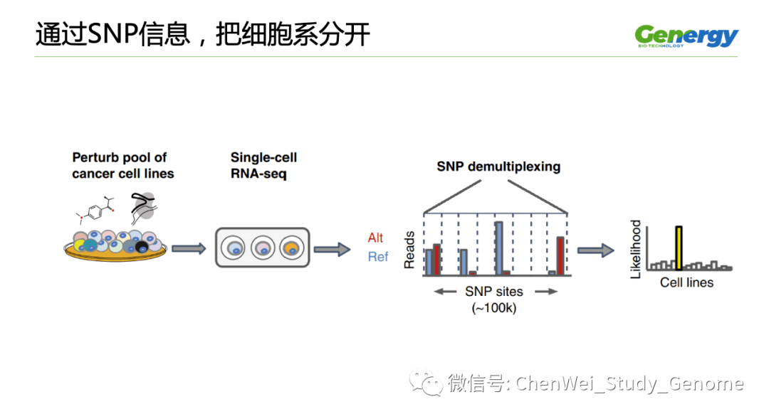 细胞疗理仪是什么原理_雾疗是什么