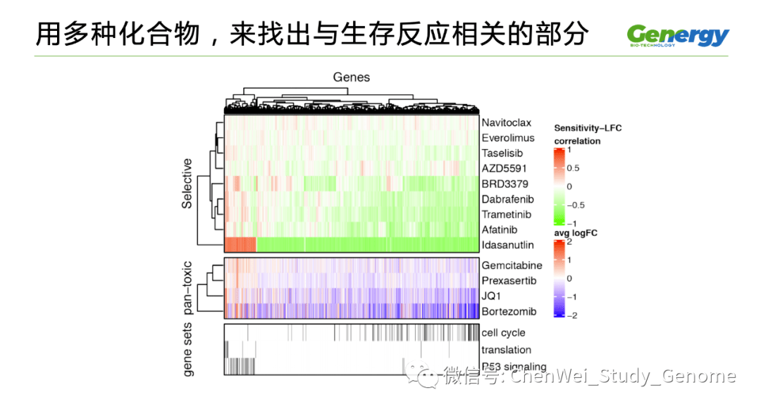 细胞疗理仪是什么原理_雾疗是什么(2)