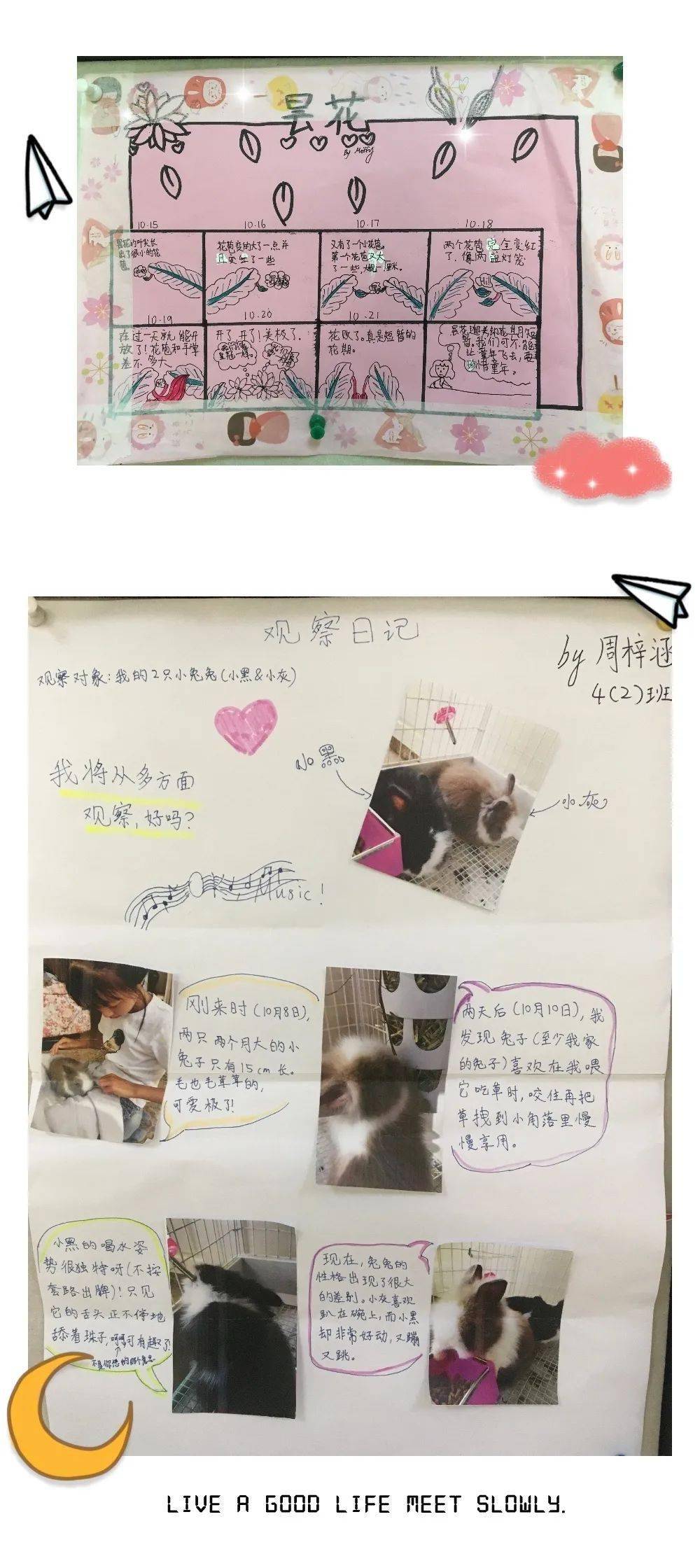 什么叫做内心丰富充盈 5e1120a37f3c424da8f095572c33adc9.jpeg