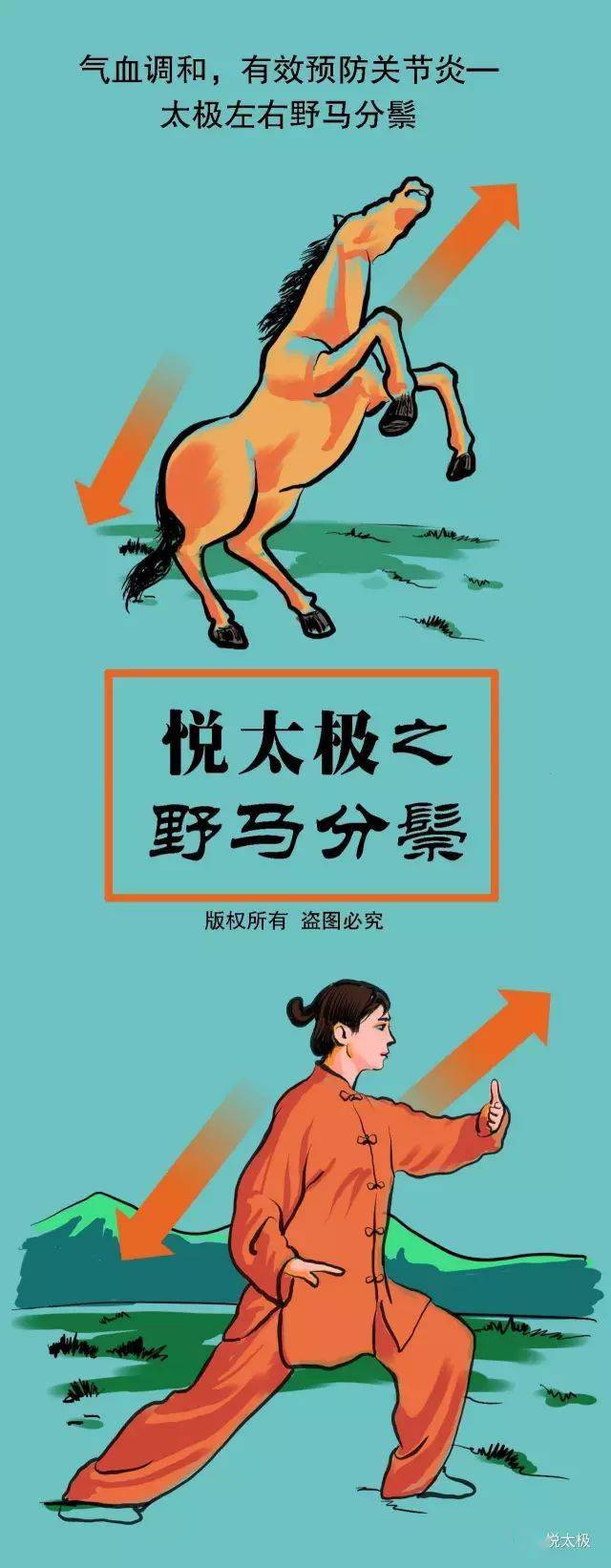 一招"太极野马分鬃" 能够 气血调和