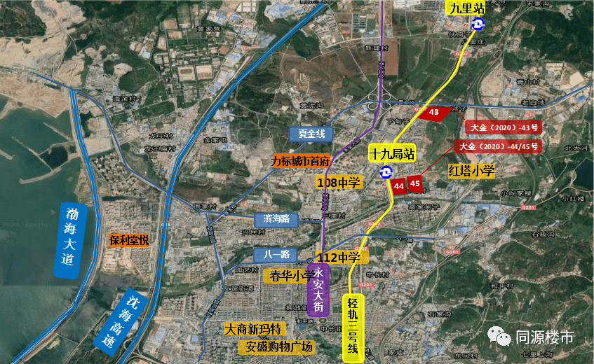 金普新区gdp_金普新区地图