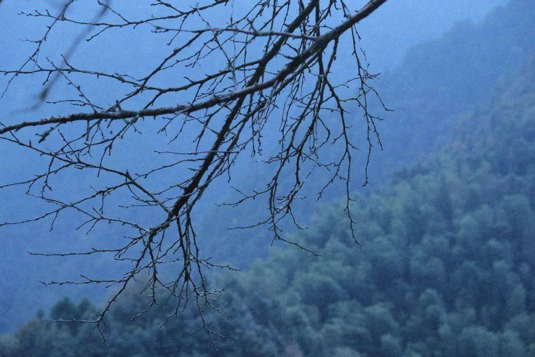 衰草枯藤老树,寒鸦流水斜阳,衬得寒山愈加岑寂,像一个夸夸其谈的人