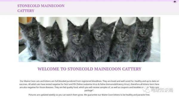 诈骗|电信诈骗，盯上了美国人