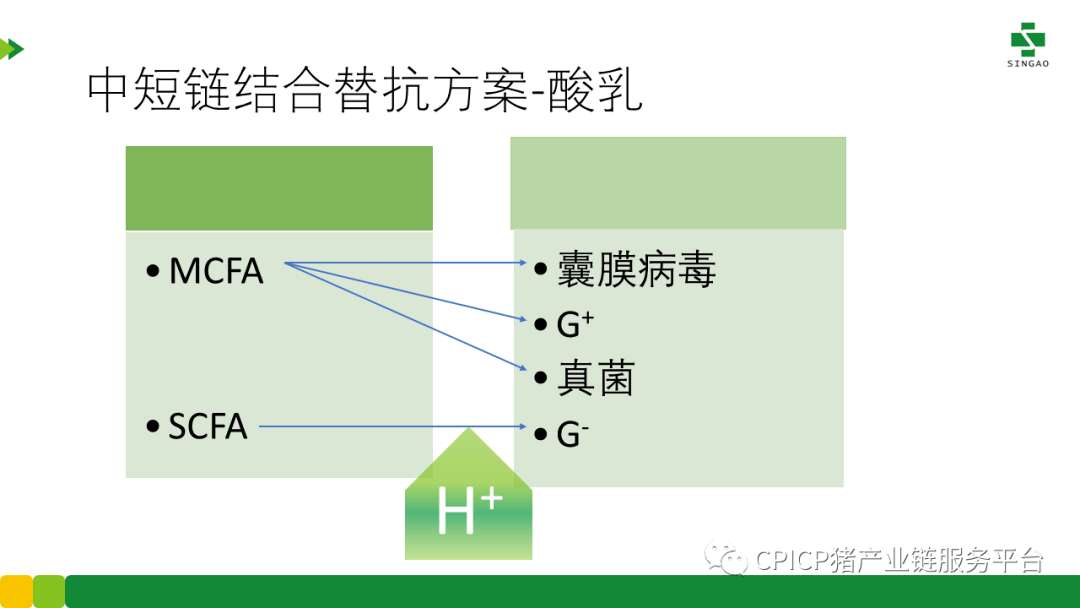 新奥赖州文董事长丨任何替抗方案都离不开丁酸这一核心