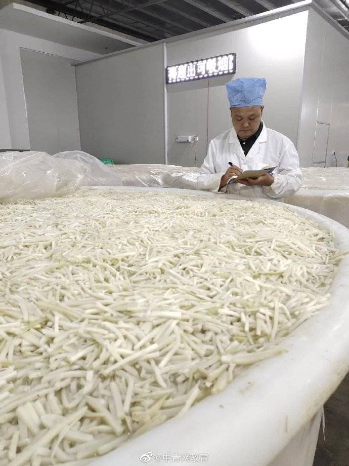 螺蛳|年薪50万！“螺蛳粉闻臭师”日闻酸笋300吨