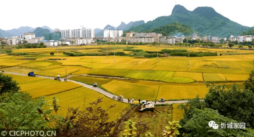 2020年10月25日,广西壮族自治区来宾市忻城县城关镇交椅村,骑行的村民