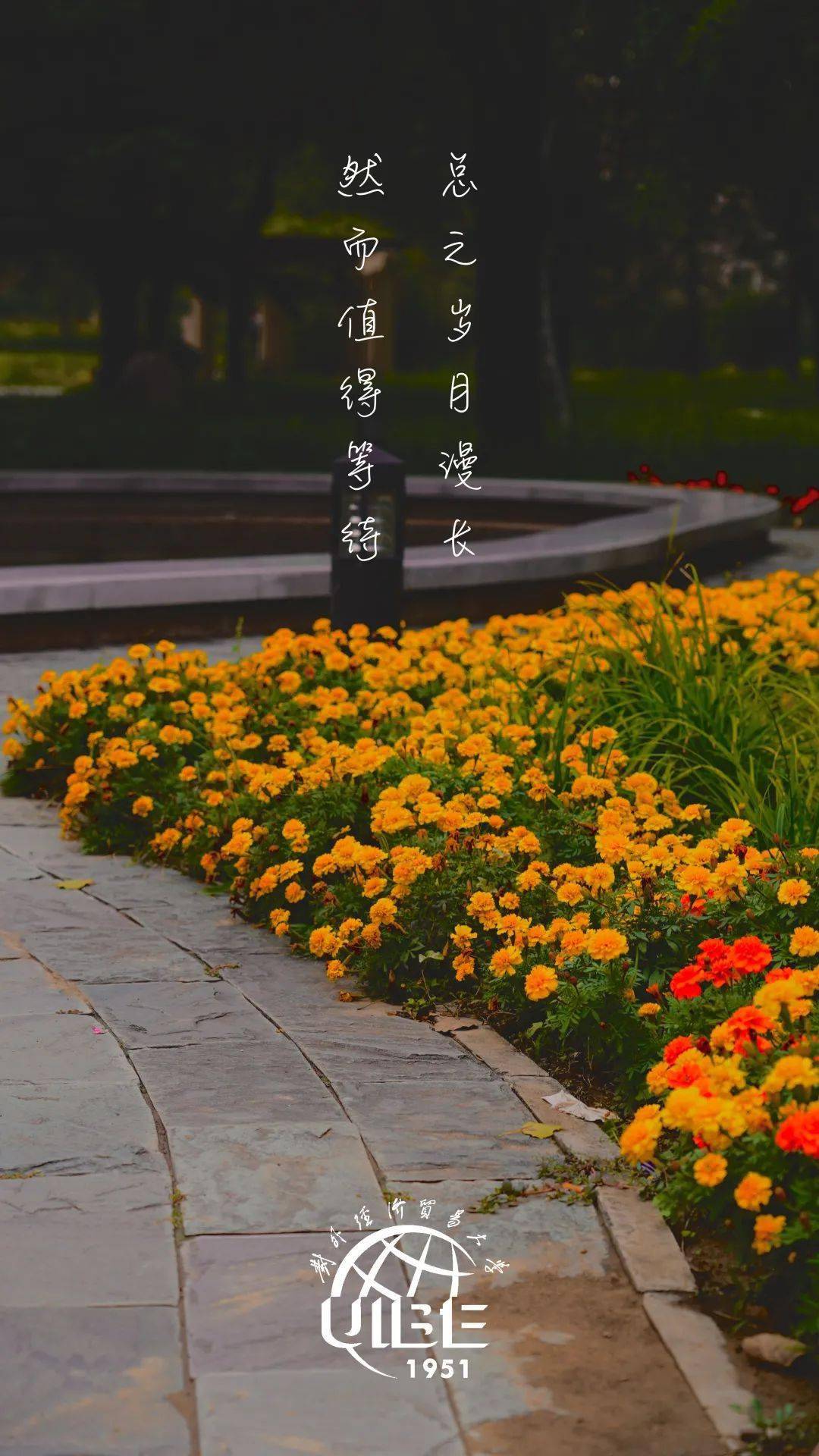 每一次打开手机 惠园秋景扑面 绚丽的色彩总是如影随形 或是触动记忆