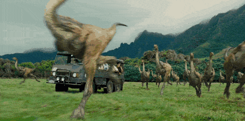 3ffc4a2d98ad46c886c6f9a687e57074.gif