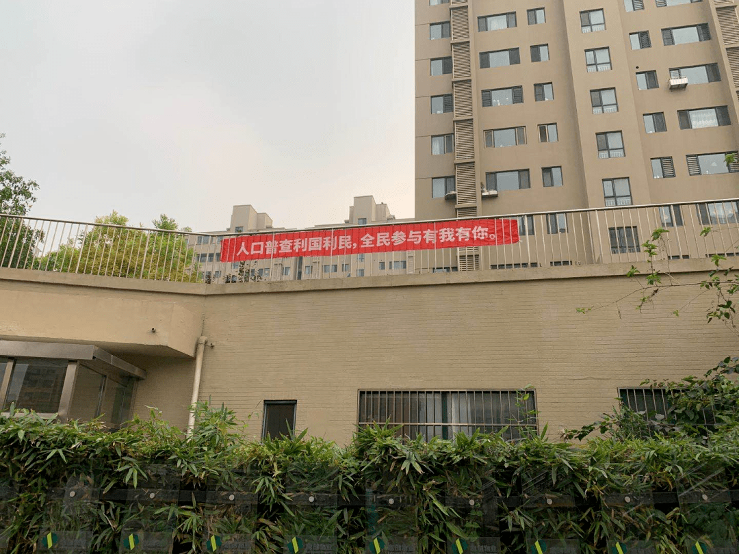 新区第七次人口普查_第七次人口普查图片