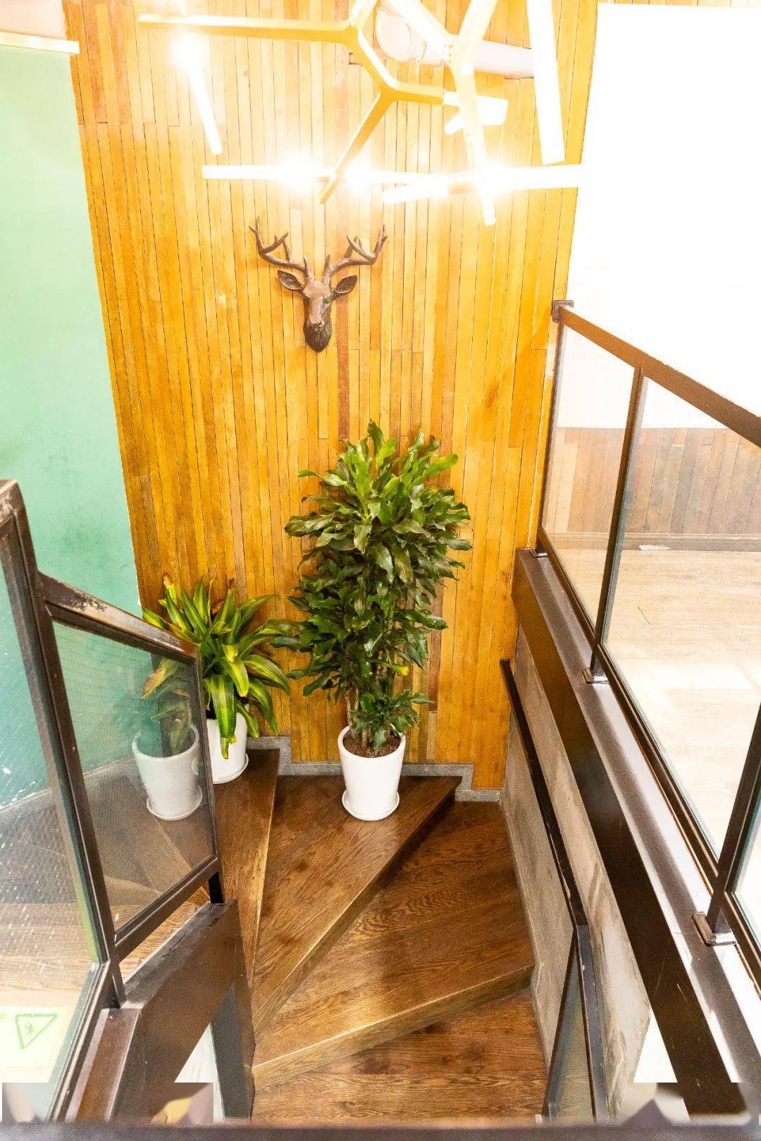 美发|姐妹们！「TOP级美发大师」梵创造型，11.11特惠来袭！