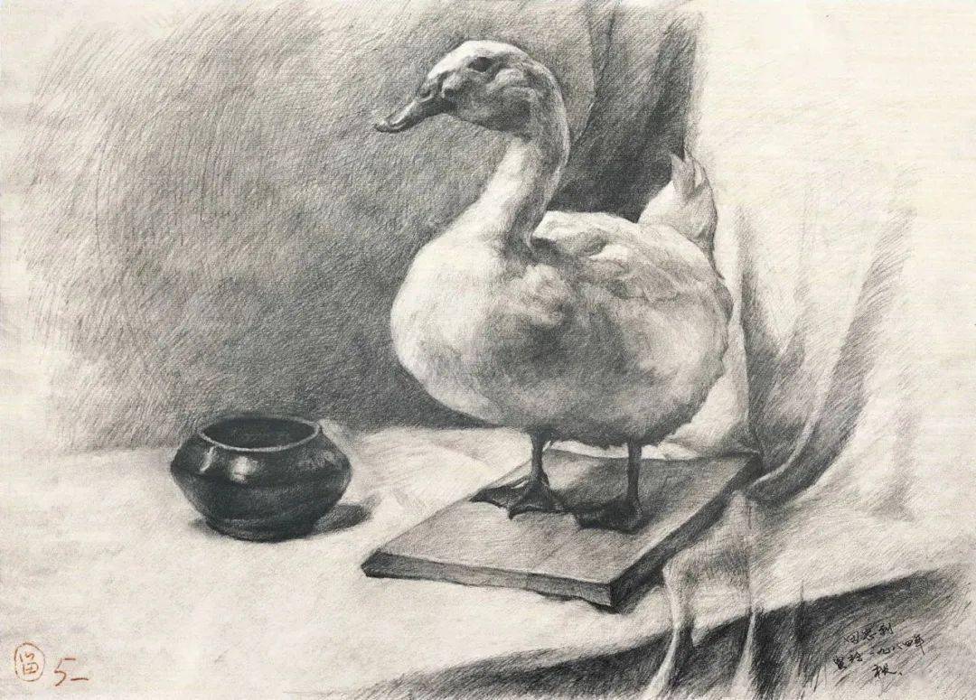 素描经典100幅中央美院附中留校作品