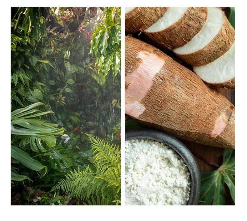 植物|熬夜新救星｜分享我最近的生活和近期在用的肌肤“吃素”法！