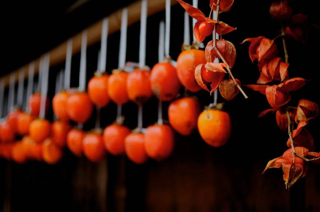 青年|柿子就像我磕的CP，要么好甜，要么好涩