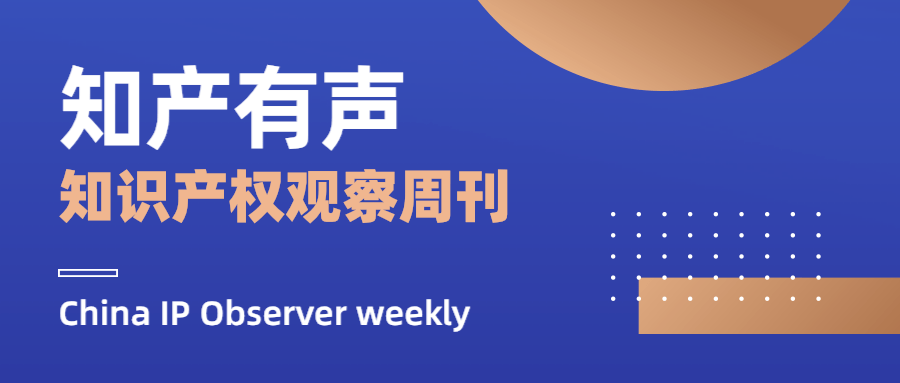 知识产权案件审理规则 da32aa22f99a4b31887880796daf2f5c.png