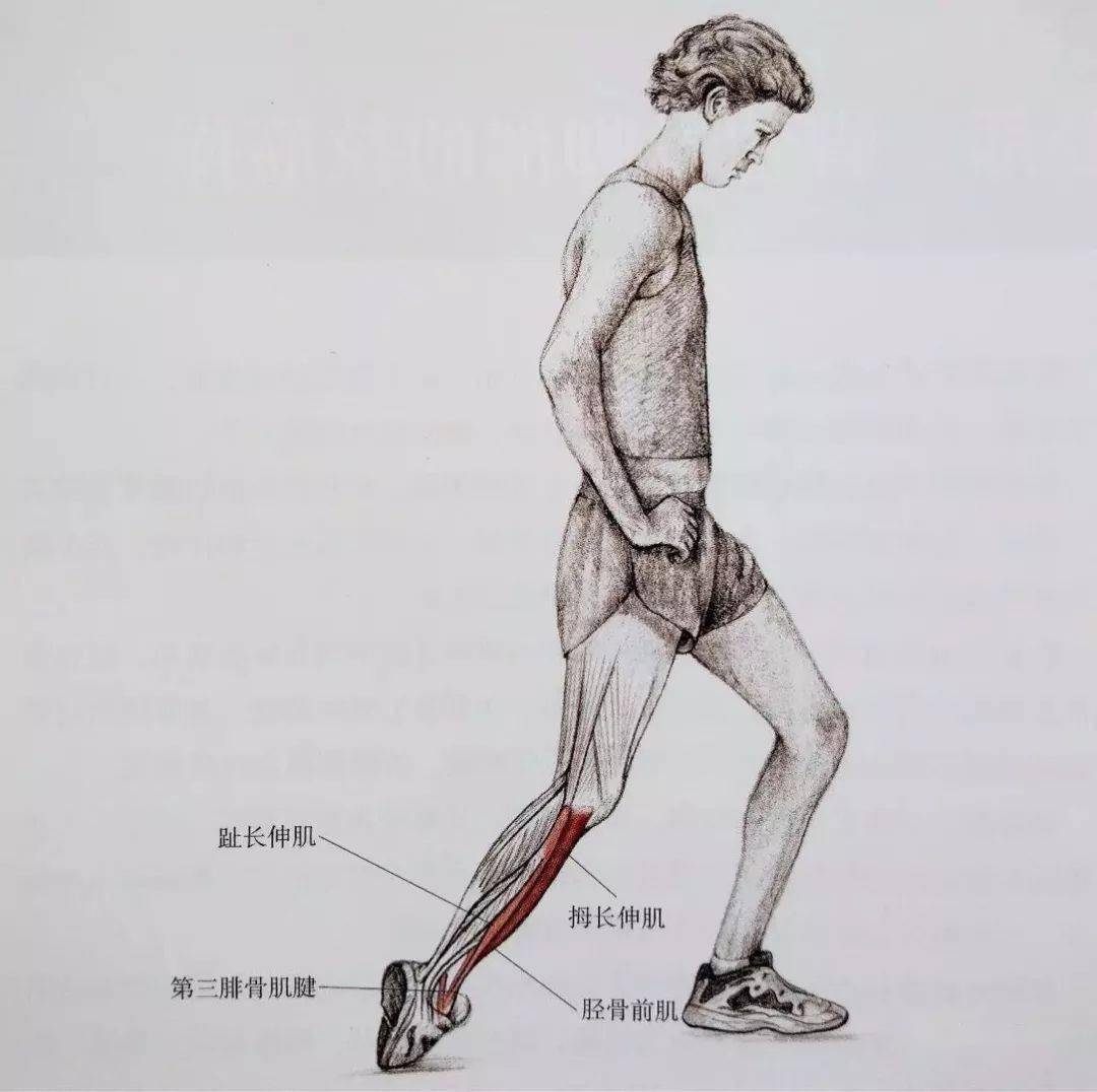 怎么拉伸小腿跑完步 e45f5e24888d4bad89a9ee4152f9e495.jpeg