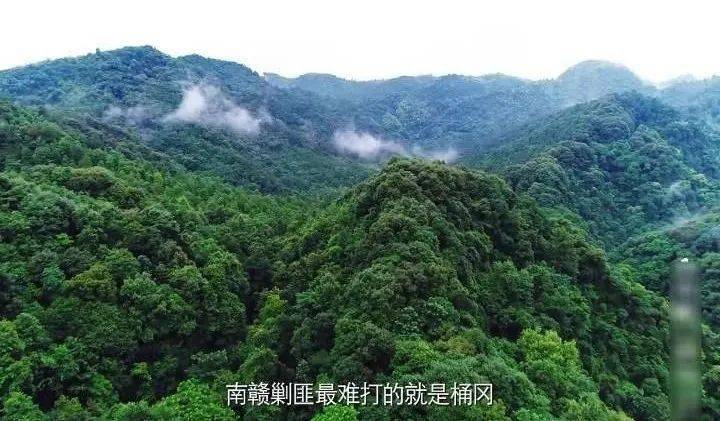 信丰县城人口_信丰县城2030规划图(2)