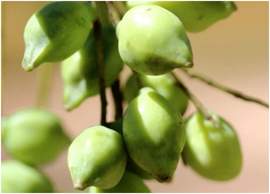 辣妈|看过唐艺昕赵丽颖当妈之后，我发现了明星辣妈养娃不累的底气