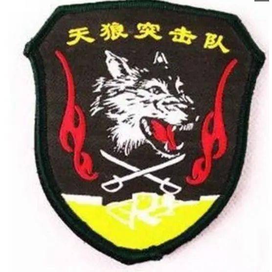 中国特种部队这几种徽章参军过的都认识不全你会辨识几个