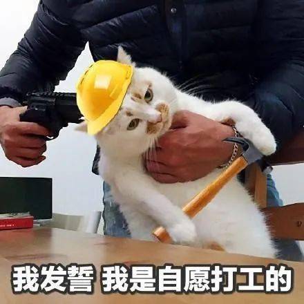 消息资讯|又是勤劳打工の一天