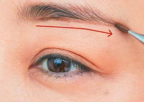 自然|只要你画对了，就是这个冬天最靓的仔