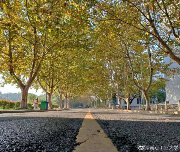 秋景大|高校秋景大赏丨想在春天种下一片色彩 在秋天送给你