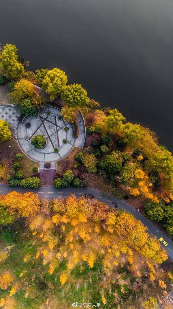 秋景大|高校秋景大赏丨想在春天种下一片色彩 在秋天送给你