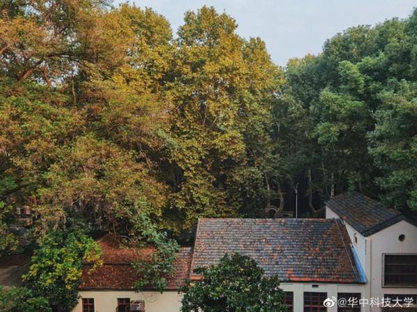 秋景大|高校秋景大赏丨想在春天种下一片色彩 在秋天送给你