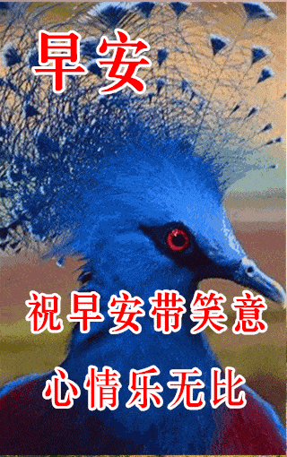 320_510 竖版 竖屏