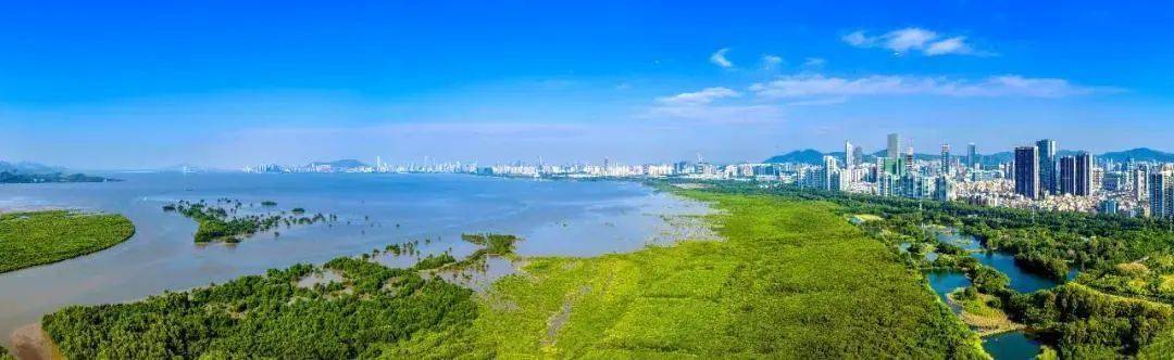 全国首份!深圳发布城市陆域生态调查评估报告