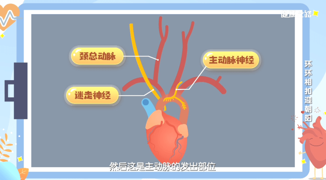 夹层|一根血管，两条生命！关于主动脉夹层，你不可不知的事！