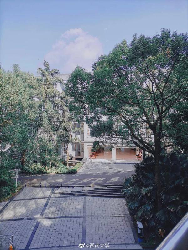 秋景|惊艳！高校官宣秋景来了，有你的母校吗？